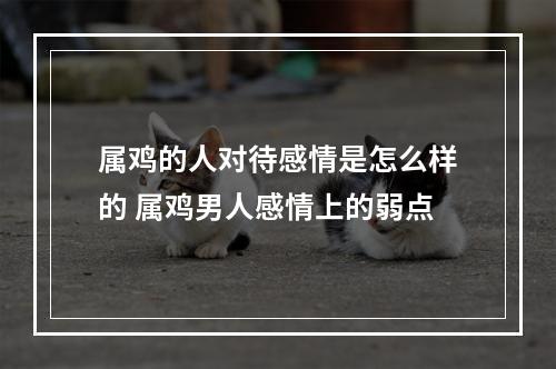 属鸡的人对待感情是怎么样的 属鸡男人感情上的弱点