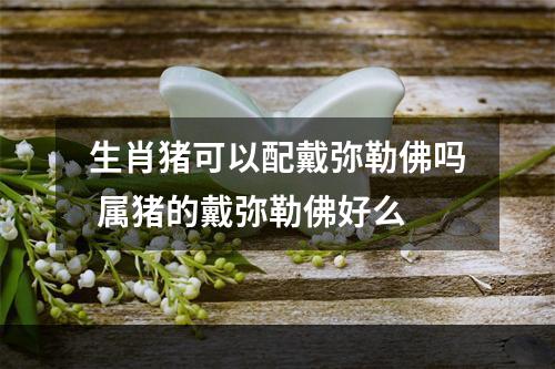 生肖猪可以配戴弥勒佛吗 属猪的戴弥勒佛好么