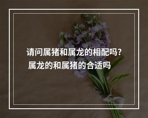 请问属猪和属龙的相配吗? 属龙的和属猪的合适吗