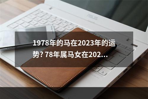 1978年的马在2023年的运势? 78年属马女在2023年的运势