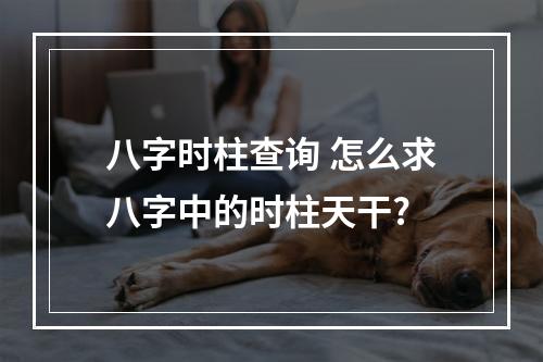 八字时柱查询 怎么求八字中的时柱天干?