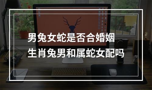 男兔女蛇是否合婚姻 生肖兔男和属蛇女配吗