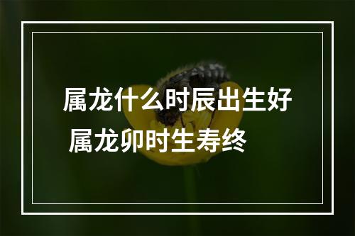 属龙什么时辰出生好 属龙卯时生寿终