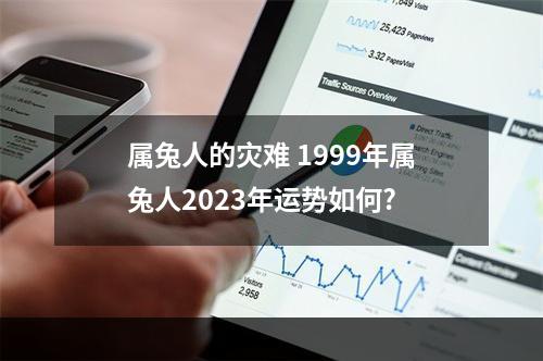属兔人的灾难 1999年属兔人2023年运势如何?