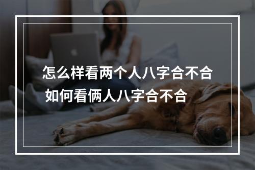 怎么样看两个人八字合不合 如何看俩人八字合不合