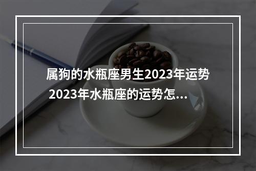属狗的水瓶座男生2023年运势 2023年水瓶座的运势怎样?重要时间段和重要事件提示是什么?