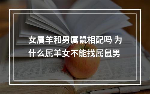 女属羊和男属鼠相配吗 为什么属羊女不能找属鼠男
