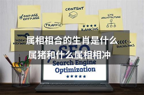 属相相合的生肖是什么 属猪和什么属相相冲