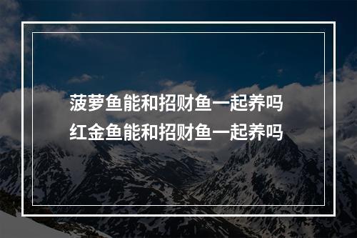 菠萝鱼能和招财鱼一起养吗 红金鱼能和招财鱼一起养吗