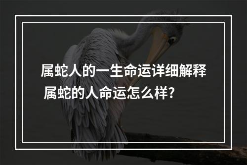 属蛇人的一生命运详细解释 属蛇的人命运怎么样?