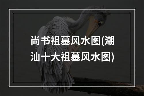 尚书祖墓风水图(潮汕十大祖墓风水图)