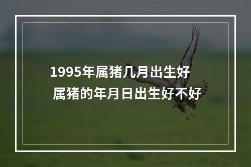 1995年属猪几月出生好 属猪的年月日出生好不好
