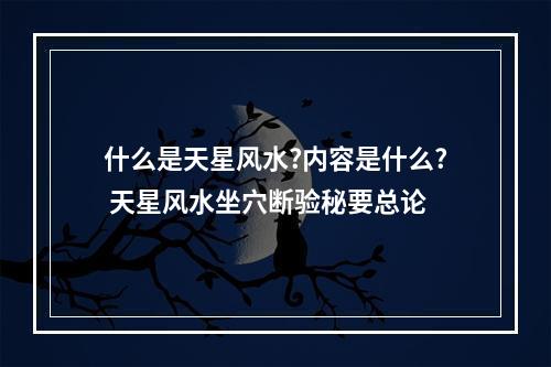 什么是天星风水?内容是什么? 天星风水坐穴断验秘要总论