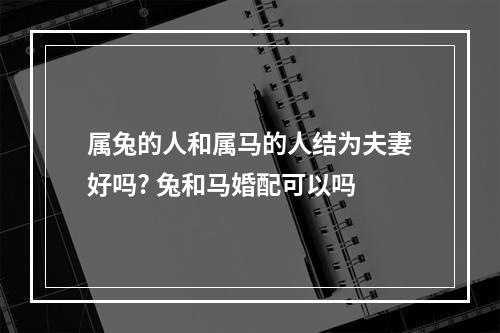属兔的人和属马的人结为夫妻好吗? 兔和马婚配可以吗