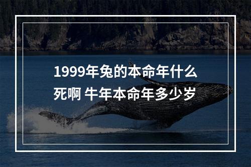 1999年兔的本命年什么死啊 牛年本命年多少岁