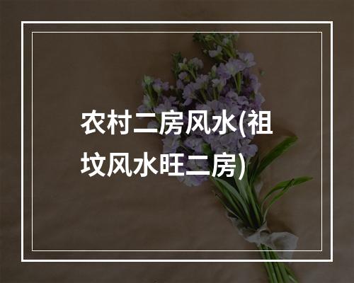 农村二房风水(祖坟风水旺二房)