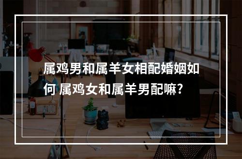 属鸡男和属羊女相配婚姻如何 属鸡女和属羊男配嘛?