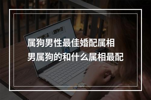属狗男性最佳婚配属相 男属狗的和什么属相最配