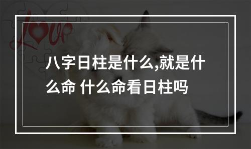 八字日柱是什么,就是什么命 什么命看日柱吗