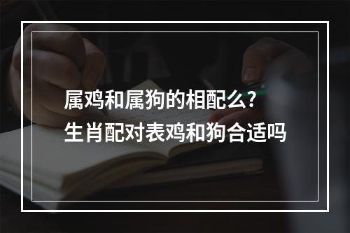 属鸡和属狗的相配么? 生肖配对表鸡和狗合适吗
