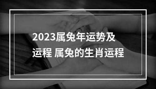 2023属兔年运势及运程 属兔的生肖运程