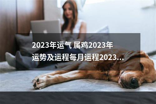 2023年运气 属鸡2023年运势及运程每月运程2023年属鸡人全年每个月运势