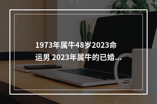 1973年属牛48岁2023命运男 2023年属牛的已婚人的婚姻状况?