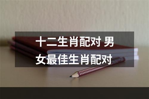十二生肖配对 男女最佳生肖配对