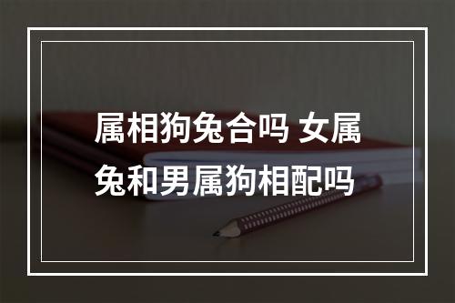 属相狗兔合吗 女属兔和男属狗相配吗