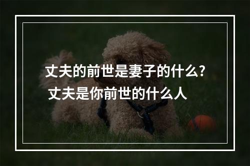 丈夫的前世是妻子的什么? 丈夫是你前世的什么人