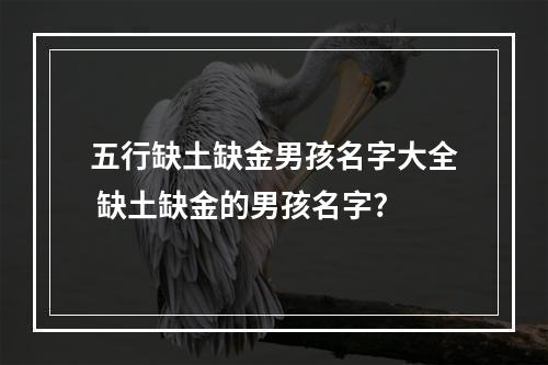 五行缺土缺金男孩名字大全 缺土缺金的男孩名字?