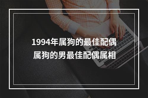 1994年属狗的最佳配偶 属狗的男最佳配偶属相