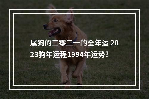 属狗的二零二一的全年运 2023狗年运程1994年运势?