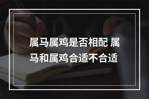 属马属鸡是否相配 属马和属鸡合适不合适