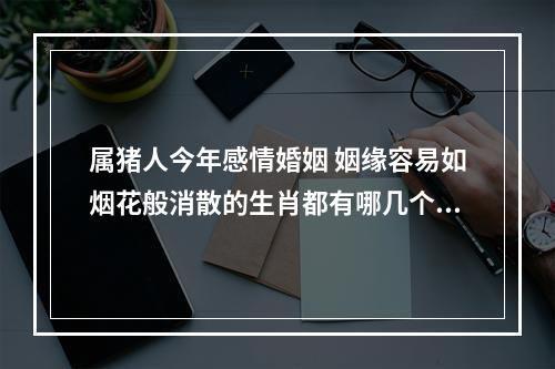 属猪人今年感情婚姻 姻缘容易如烟花般消散的生肖都有哪几个呢?