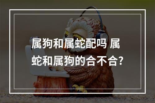 属狗和属蛇配吗 属蛇和属狗的合不合?