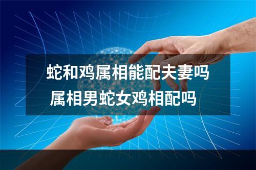 蛇和鸡属相能配夫妻吗 属相男蛇女鸡相配吗