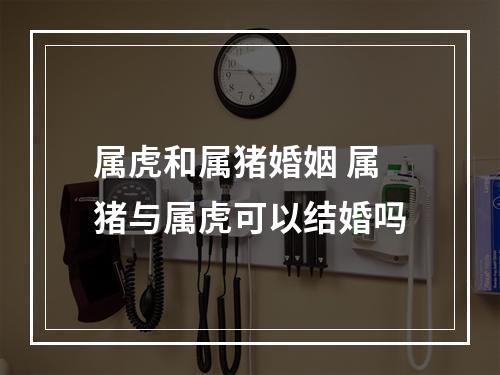 属虎和属猪婚姻 属猪与属虎可以结婚吗