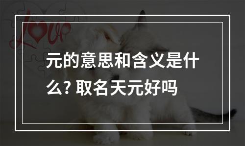 元的意思和含义是什么? 取名天元好吗