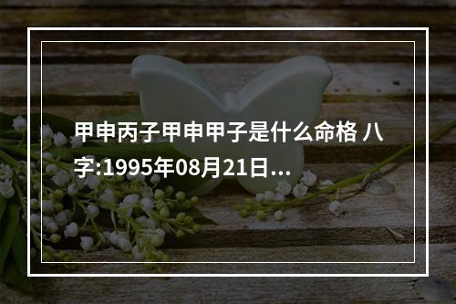 甲申丙子甲申甲子是什么命格 八字:1995年08月21日23点52分, 乙亥甲申甲申丙子, 一定是背井离乡的命...