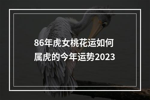 86年虎女桃花运如何 属虎的今年运势2023