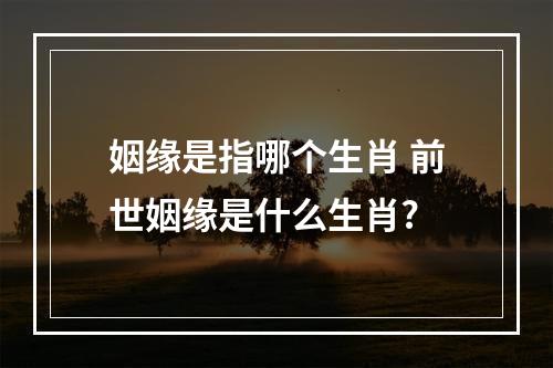 姻缘是指哪个生肖 前世姻缘是什么生肖?