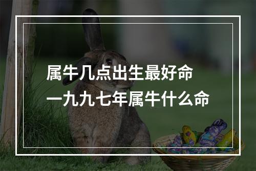属牛几点出生最好命 一九九七年属牛什么命