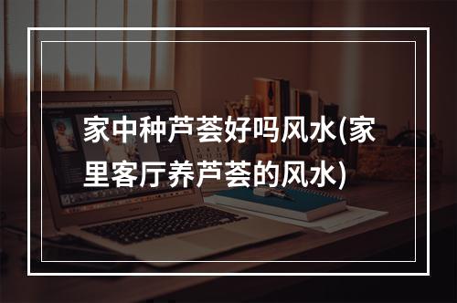 家中种芦荟好吗风水(家里客厅养芦荟的风水)