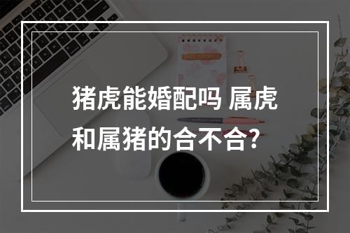 猪虎能婚配吗 属虎和属猪的合不合?