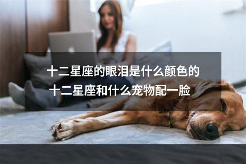 十二星座的眼泪是什么颜色的 十二星座和什么宠物配一脸