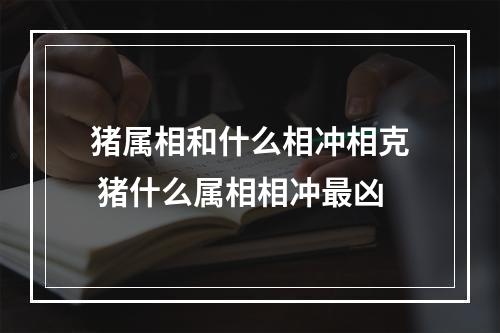 猪属相和什么相冲相克 猪什么属相相冲最凶