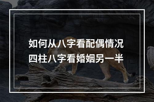 如何从八字看配偶情况 四柱八字看婚姻另一半