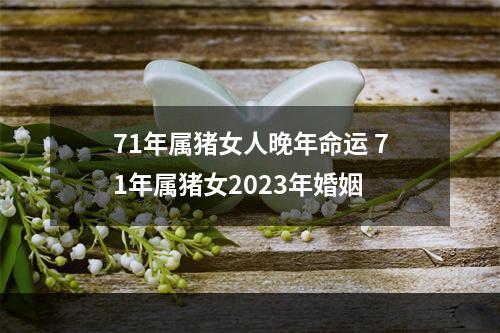 71年属猪女人晚年命运 71年属猪女2023年婚姻