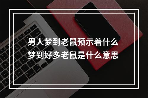 男人梦到老鼠预示着什么 梦到好多老鼠是什么意思